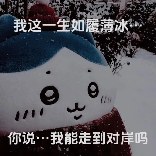 我这一生如履薄冰你说…我能走到对岸吗（我这一生如履薄冰你说…我能走到对岸吗）