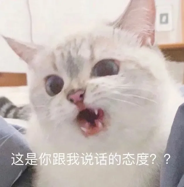 这是你跟我说话的态度？？（这是你跟我说话的态度？？）