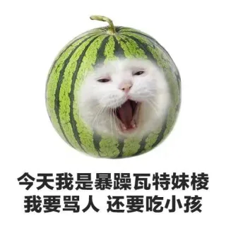 今天我是暴躁瓦特妹棱我要骂人还要吃小孩