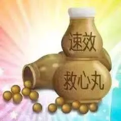 速效救心丸（速效救心丸）