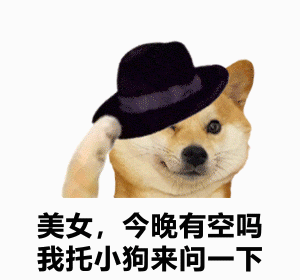 美女，今晚有空吗我托小狗来问一下（美女，今晚有空吗我托小狗来问一下）