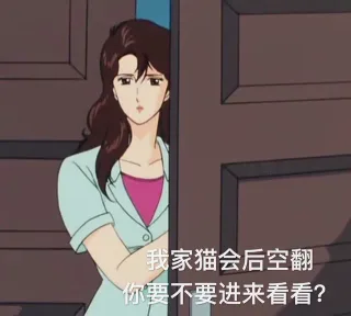 我家猫会后空翻 你要不要进来看看