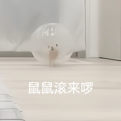 鼠鼠滚来啰（鼠鼠滚来啰）