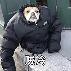 贼冷