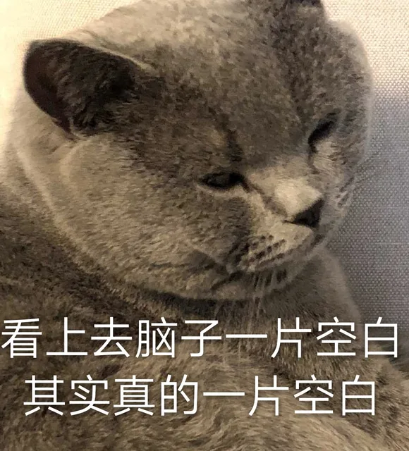 看上去脑子一片空白，其实真的一片空白（看上去脑子一片空白，其实真的一片空白）