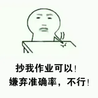 抄我作业可以，嫌弃准确率，不行！