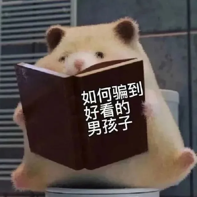 如何骗到好看的男孩子（如何骗到好看的男孩子）