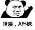 哈喽 A 杯妹（高糊熊猫头）（哈喽 A 杯妹（高糊熊猫头））