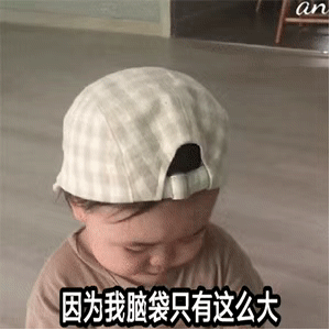 因为我脑袋只有这么大（因为我脑袋只有这么大）