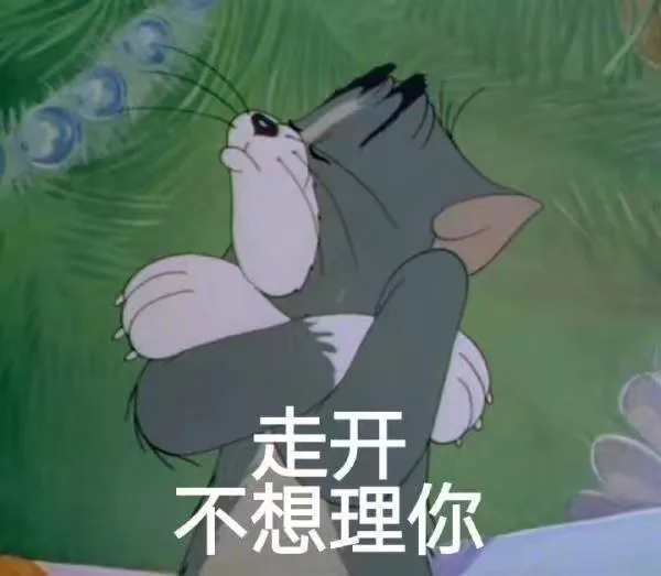 走开，不想理你（走开，不想理你）