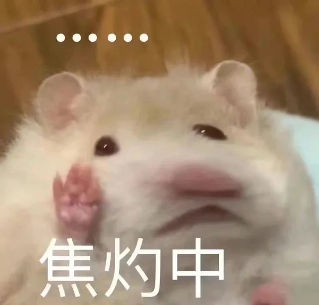 焦灼中(鼠鼠表情包)（焦灼中(鼠鼠表情包)）