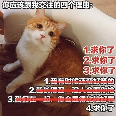 你应该跟我交往的四个理由：1，求你了；2，求你了；3，求你了；4，求你了。我有时候还蛮好笑的，我长得丑，没人会跟你抢。我们在一起，你会显得比较好看（你应该跟我交往的四个理由：1，求你了；2，求你了；3，求你了；4，求你了。我有时候还蛮好笑的，我长得丑，没人会跟你抢。我们在一起，你会显得比较好看）