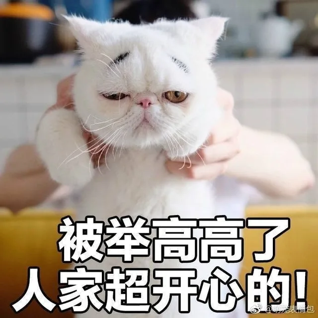 被举高高了，人家超开心的