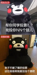 现实生活:帮你同学投票?我投你NN个腿儿追星的我:老子不睡了爆肝投票这位爸爸帮我爱豆投个票吧