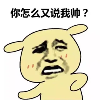 你怎么又说我帅