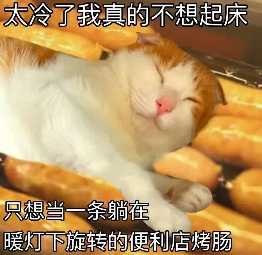 太冷了我真的不想起床只想当一条躺在暖灯下旋转的便利店烤肠（太冷了我真的不想起床只想当一条躺在暖灯下旋转的便利店烤肠）