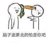 脑子进萝北的怕是你吧