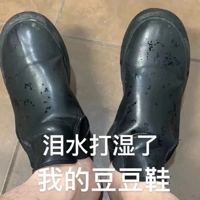 泪水打湿了我的豆豆鞋（泪水打湿了我的豆豆鞋）