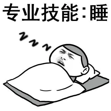 专业技能：睡（专业技能：睡）