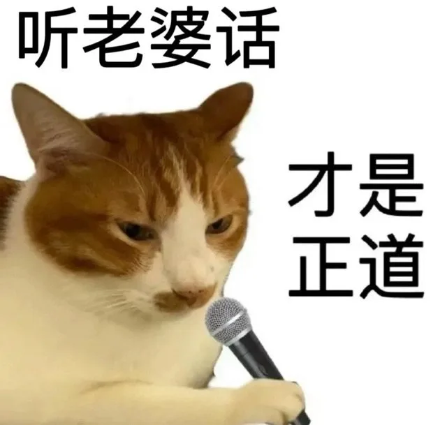 听老婆话才是正道（听老婆话才是正道）