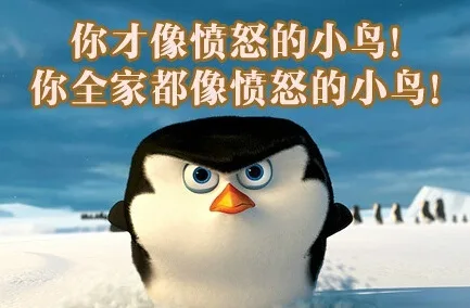 你才像愤怒的小鸟！你全家都像愤怒的小鸟（你才像愤怒的小鸟！你全家都像愤怒的小鸟）