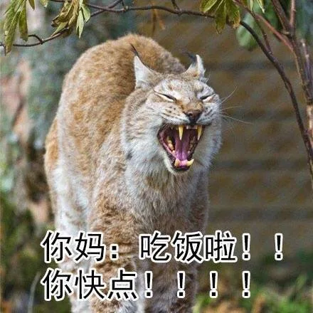你妈：吃饭啦！你快点！！
