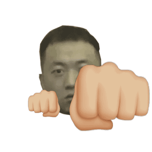 药水哥打拳动图表情包