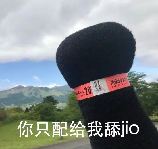 阿蘸20你只配给我舔jio