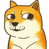 doge看你（doge看你）