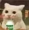 (猫咪喝 AD 钙奶)
