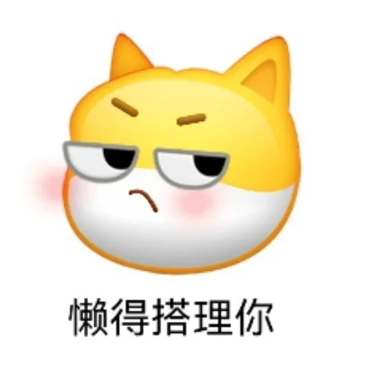 懒得搭理你（懒得搭理你）