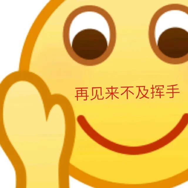 再见来不及挥手（再见来不及挥手）