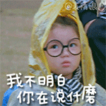 我不明白你在说什么