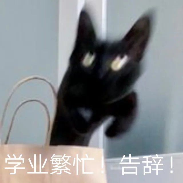 学业繁忙告辞!