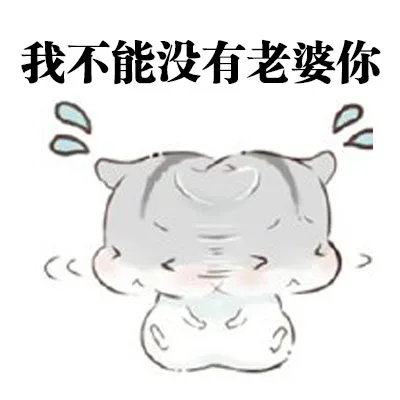 我不能没有老婆你