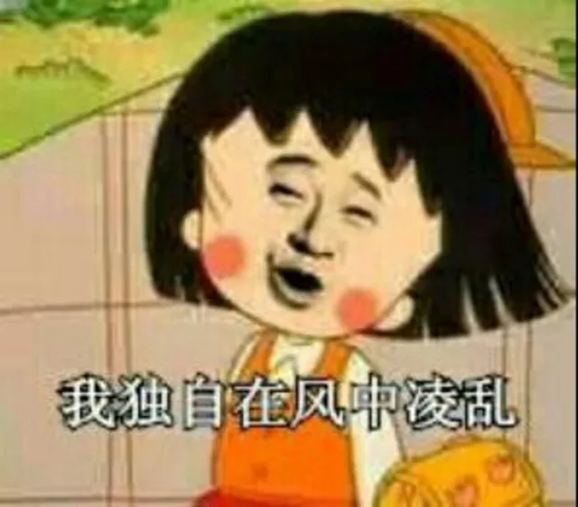 我独自在风中凌乱！（我独自在风中凌乱！）