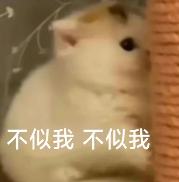 不似我不似我（不似我不似我）