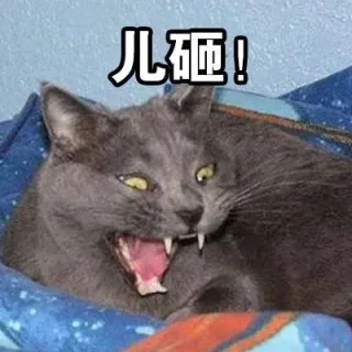 赶紧艾特下你的儿砸_儿砸_呐喊表情包