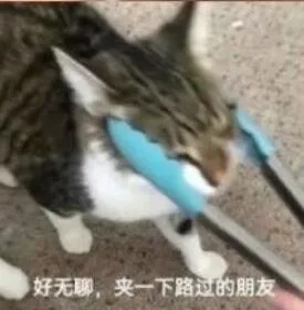 好无聊，夹一下路过的朋友（好无聊，夹一下路过的朋友）