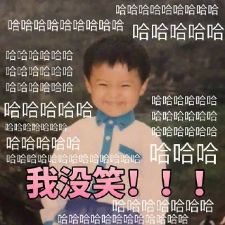 哈哈哈我没笑