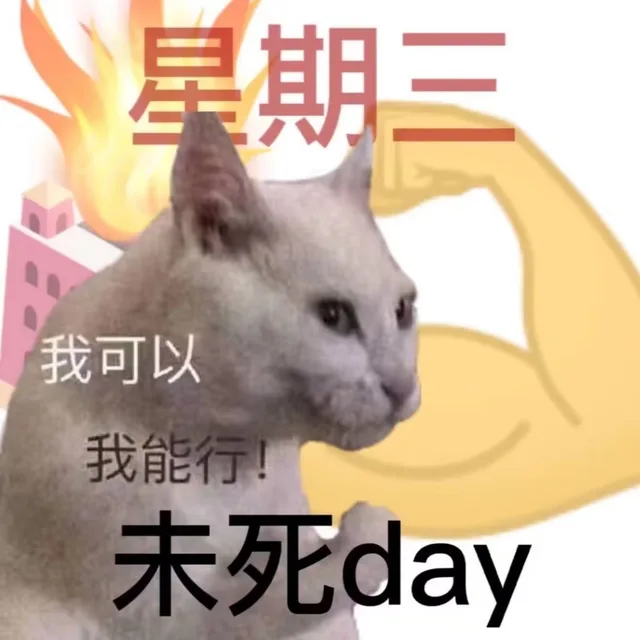 星期三我可以我能行！未死day（星期三我可以我能行！未死day）