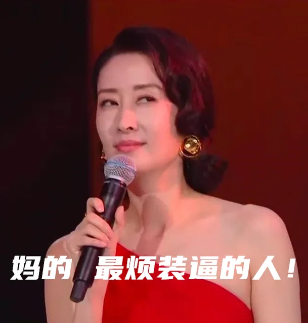 妈的最烦装逼的人!（刘敏涛表情包）（妈的最烦装逼的人!（刘敏涛表情包））