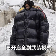 已开启全副武装模式（已开启全副武装模式）