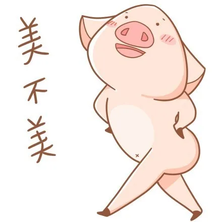 美不美（美不美）
