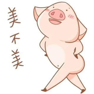 美不美