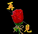 不见（不见）