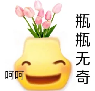 瓶瓶无奇呵呵