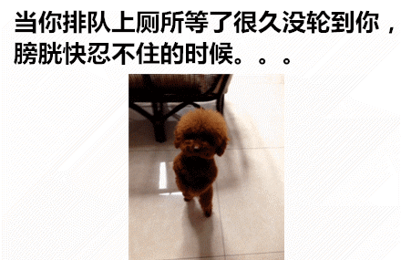 当你排队上厕所等了很久没轮到你，膀胱快忍不住的时候