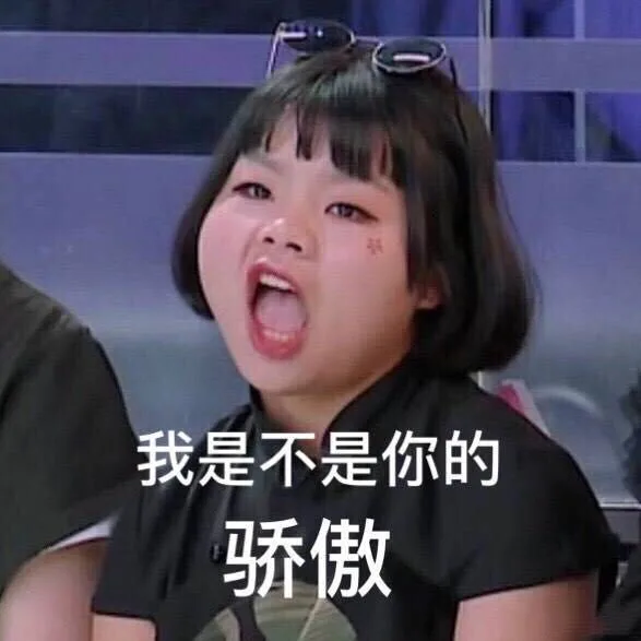 我是不是你的骄傲