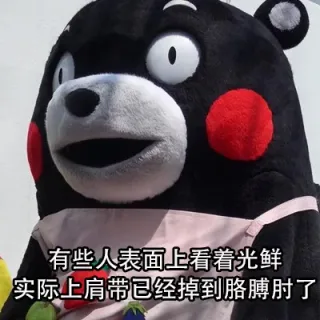 有些人表面上看着光鲜，其实..._熊本熊_表面上表情包